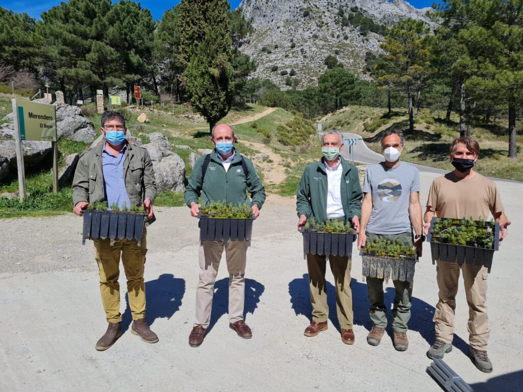 Equipo humano del PN Sierra de Grazalema con los plantones de Abies pinsapo.